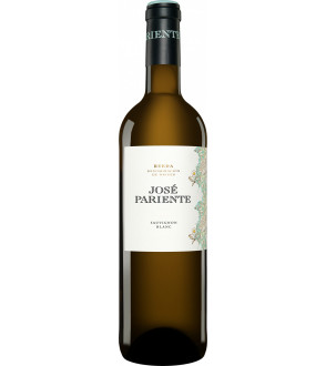 Вино Bodegas Jose Pariente Sauvignon Blanc DO Rueda 